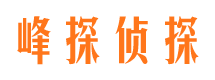 开江侦探公司